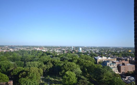 Renovated 1 bed in luxury